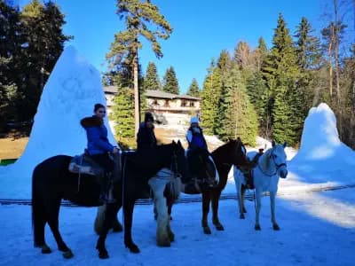 Horse Riding With Butch / Езда и конен туризъм Буч