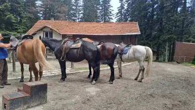 Horse Riding With Butch / Езда и конен туризъм Буч