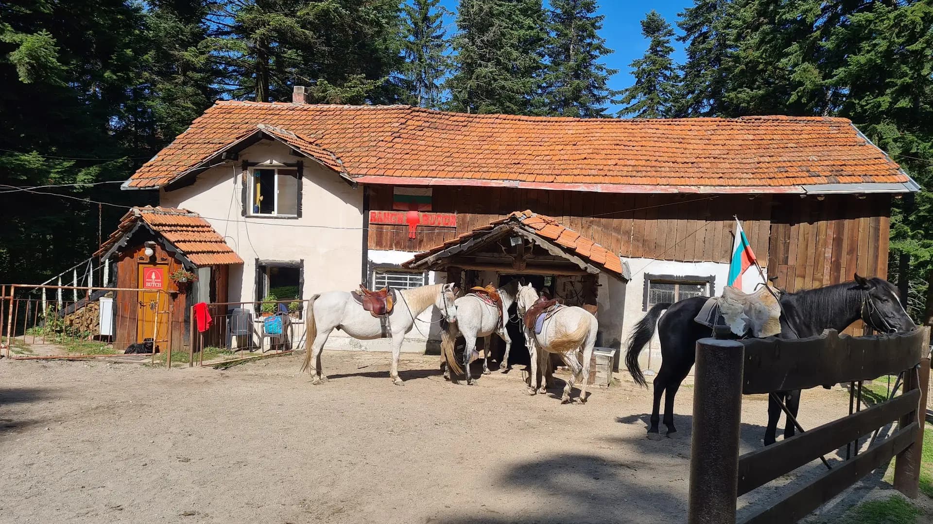 Horse Riding With Butch / Езда и конен туризъм Буч