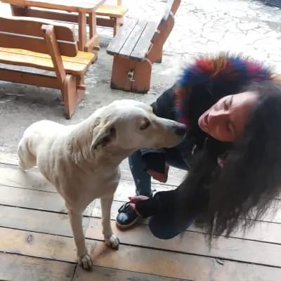 Ранчо „Тракийскки духове“