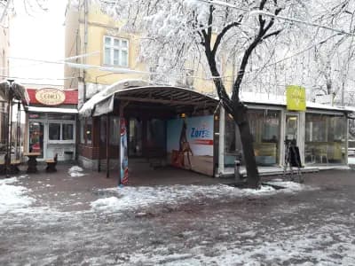 Зори Травел