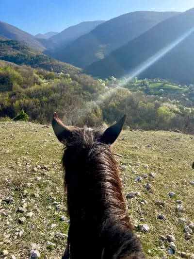 Езда с Тома / Horse Riding with Toma