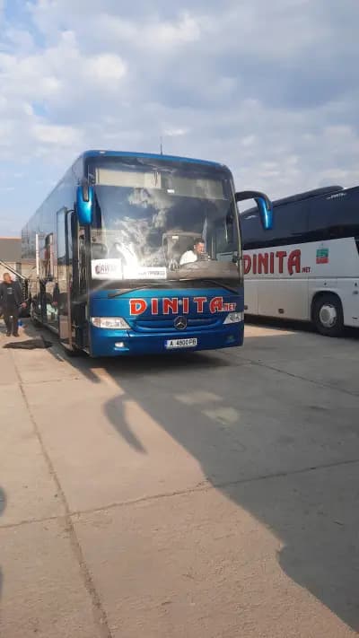 Динита-Транс