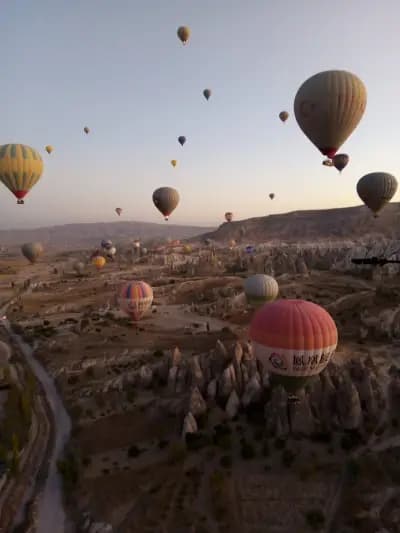Премио Травел България ЕООД