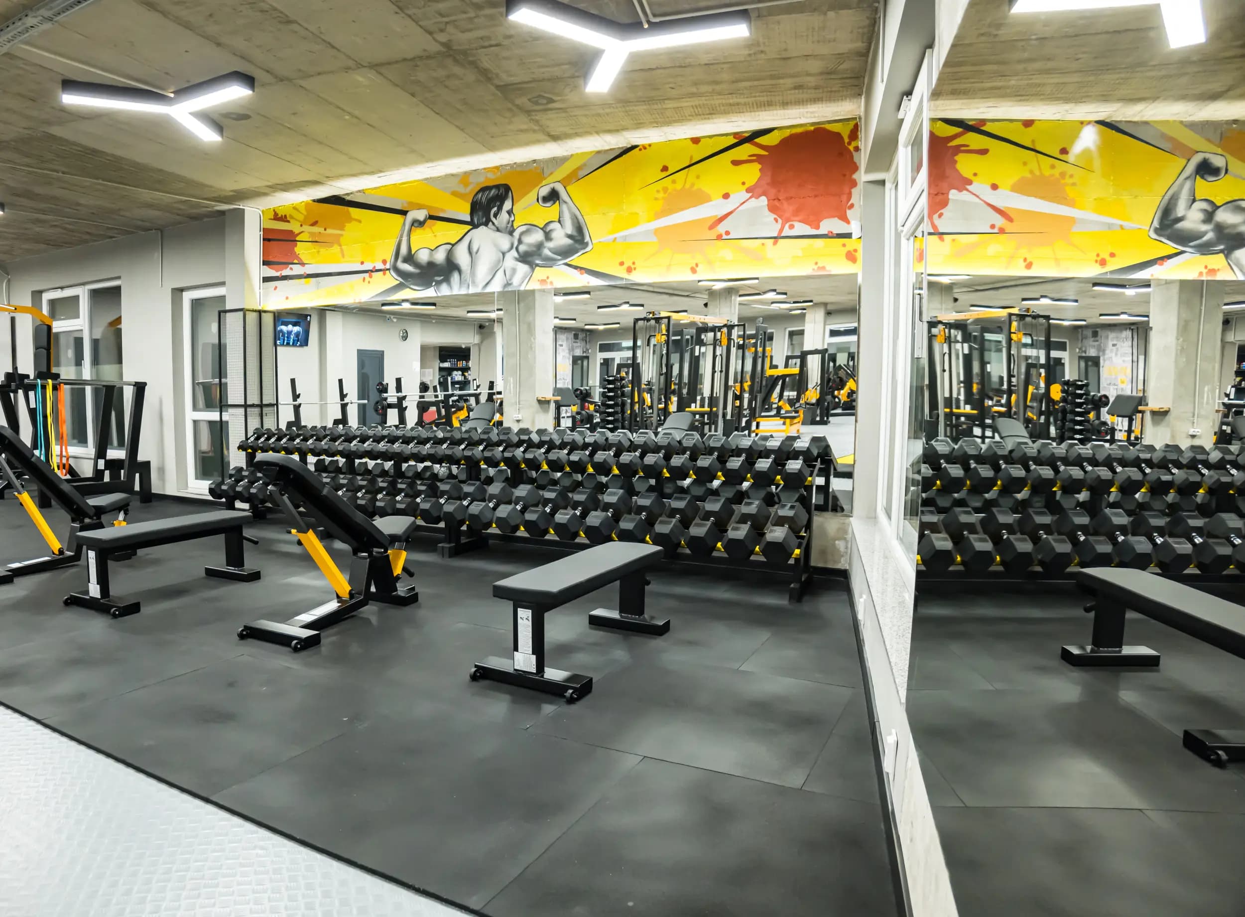 Alpha Gym Vasilev – Фитнес