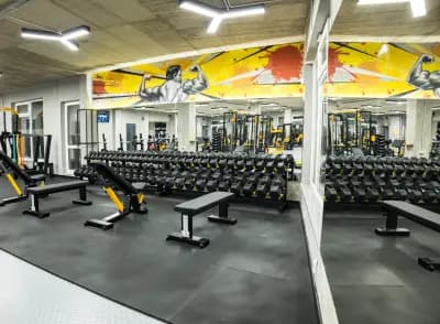 Alpha Gym Vasilev – Фитнес