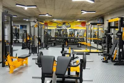 Alpha Gym Vasilev – Фитнес Пловдив
