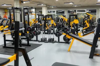 Alpha Gym Vasilev – Фитнес Пловдив