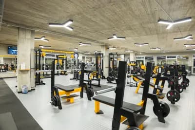 Alpha Gym Vasilev – Фитнес