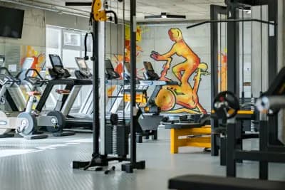 Alpha Gym Vasilev – Фитнес