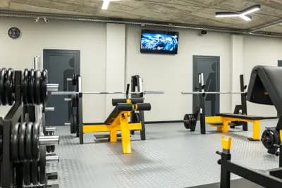 Alpha Gym Vasilev – Фитнес