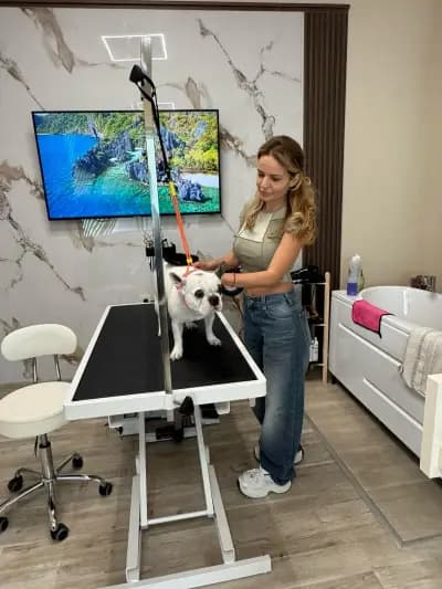 И/В Grooming Studio / Груминг Салон в Петрич