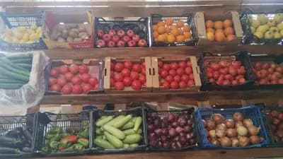 Плод и зеленчук