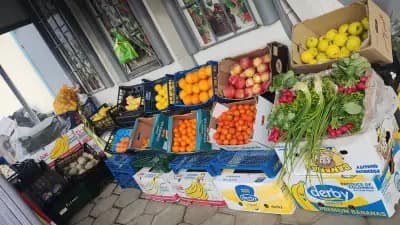 Плод и зеленчук