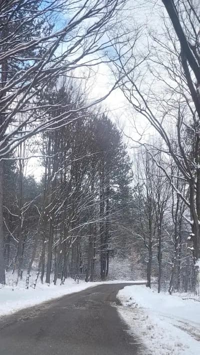Вила "Деа" гр. Котел