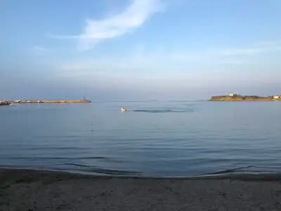Switch2Sea