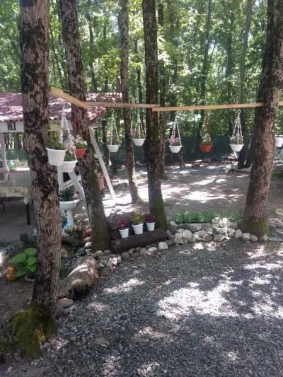 Бунгала ЙОНИ