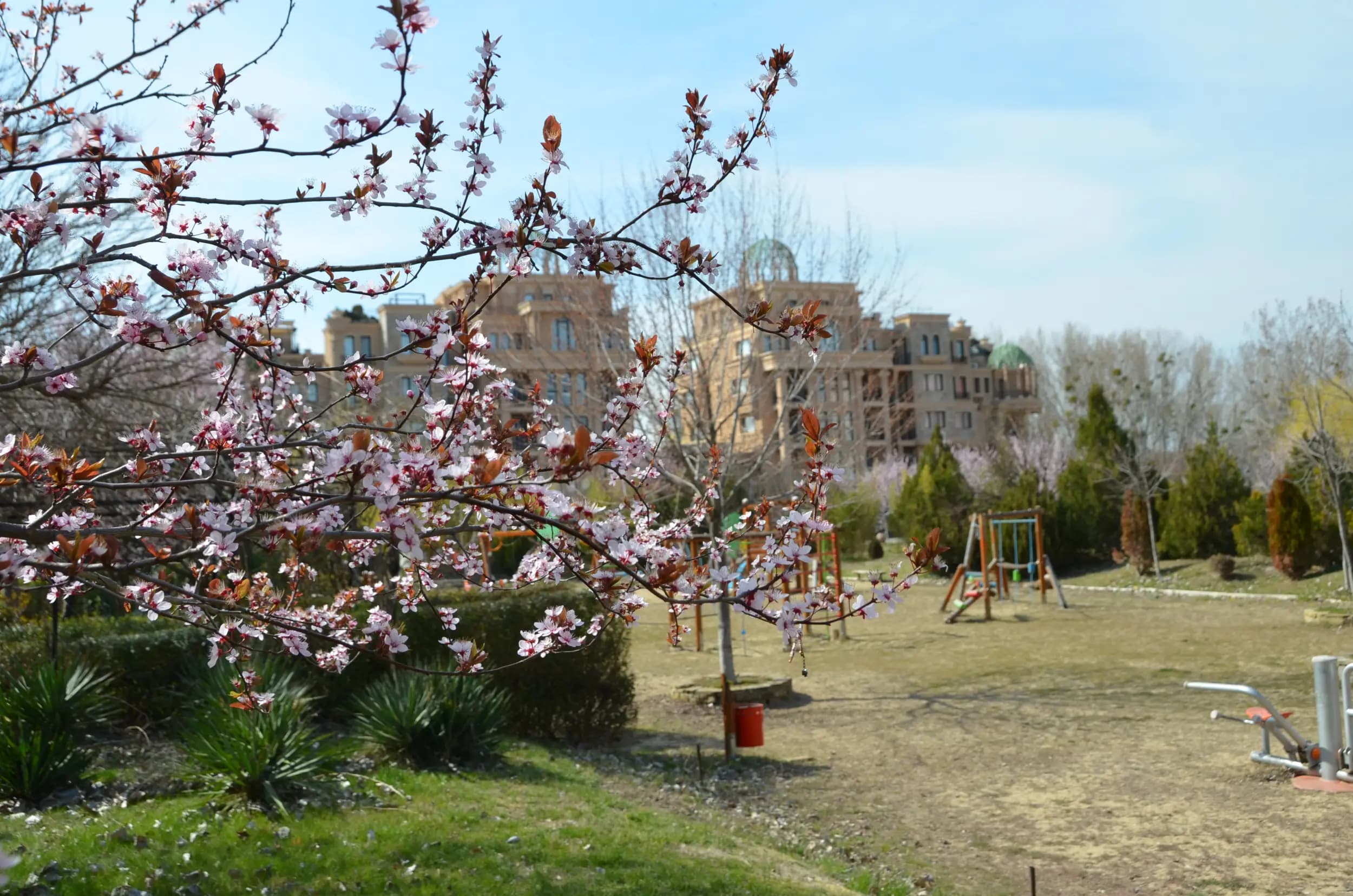 Aphrodite Park