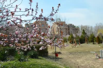 Aphrodite Park