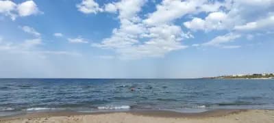 The Dolphin's House