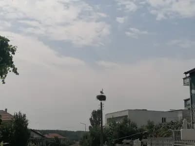 Къщата на Цветята