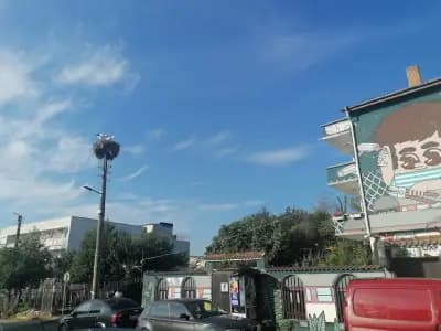 Къщата на Цветята
