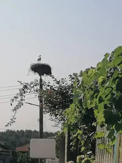 Къщата на Цветята