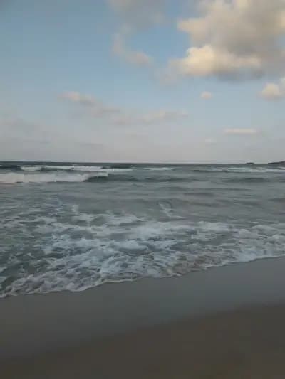 Къщата на Цветята