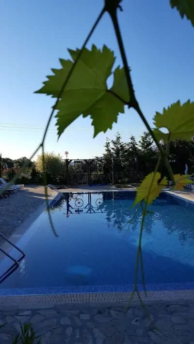 Rose Garden Guest House
