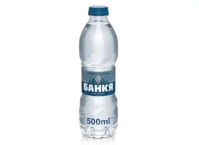 Куцото пиле