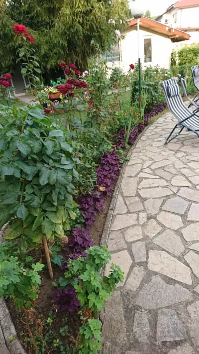 Family Hotel Radka