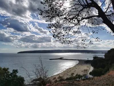 Морска градина