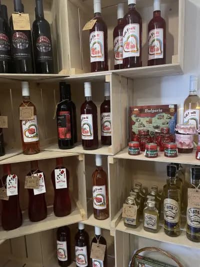 VanitoArt Wine&Pottery