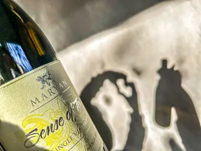 Магазин за вино "Wine Point"