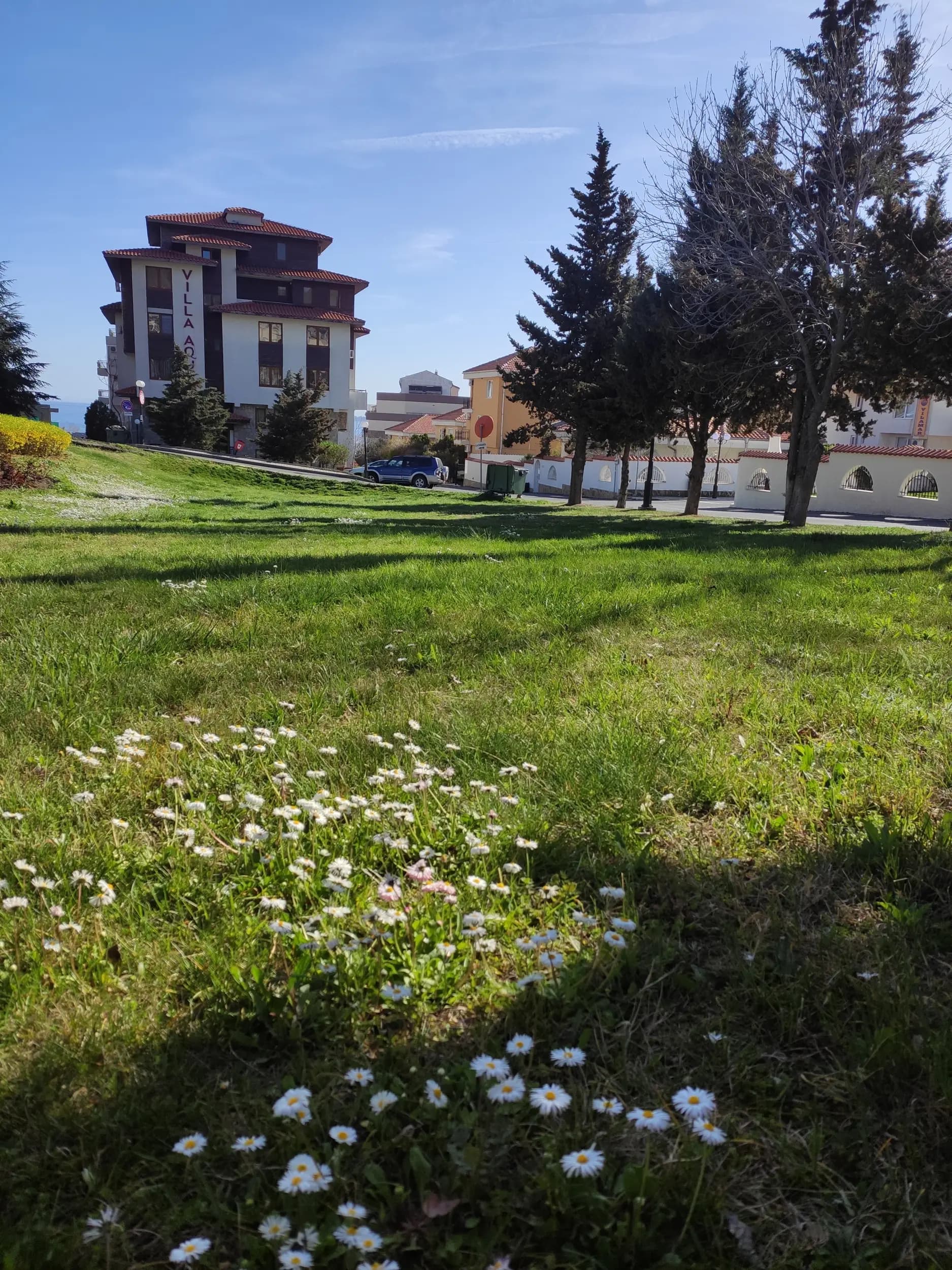 Open-air Fitness (Stretching and Healthy Back)
