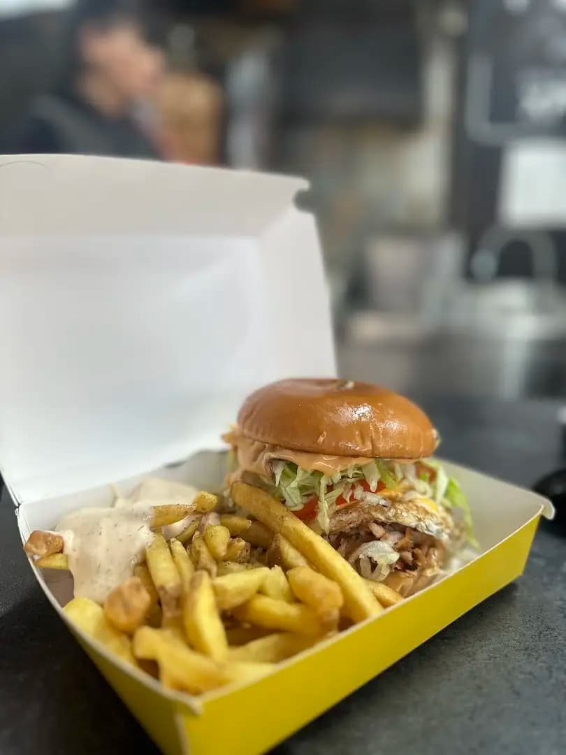 Donër kebap aslan