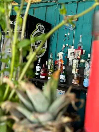 BUZZ BAR