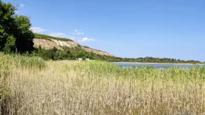 Кални бани Тузлата