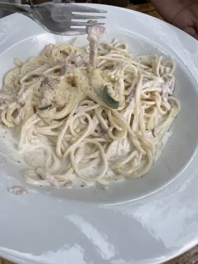 Flamingo Bistro