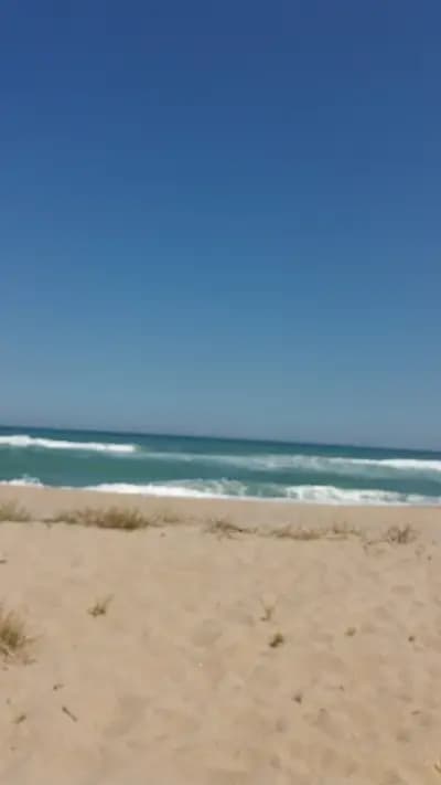 Beach Bar
