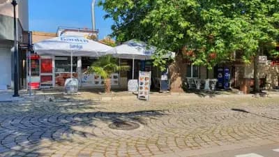 Fish&Grill Златна рибка