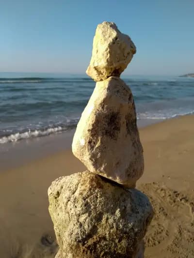 Albena Fish-Fish beach