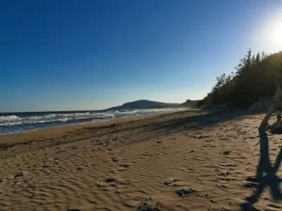 Albena Fish-Fish beach