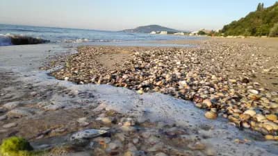 Albena Fish-Fish beach