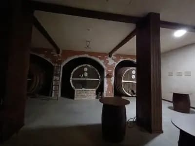 Виа Понтика Ризорт