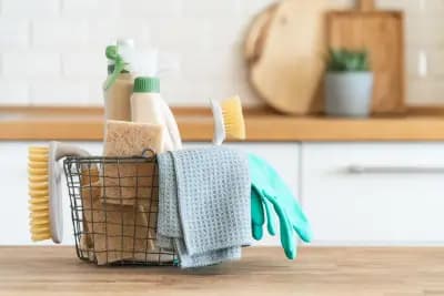 House cleaning by Maggie