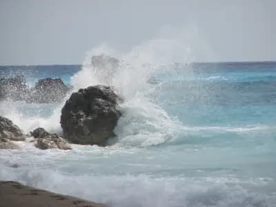 Делта Турс БГ