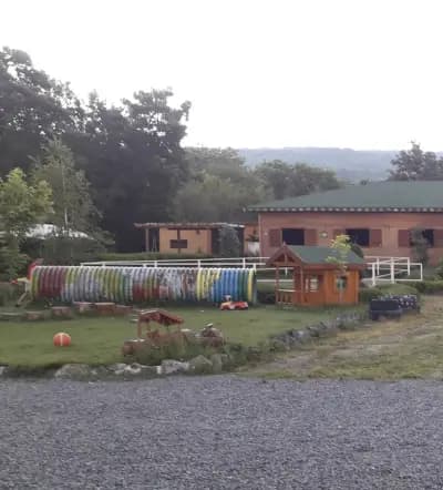 Royal Horse Club