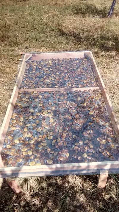 Био градини Алваново