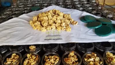 Био градини Алваново